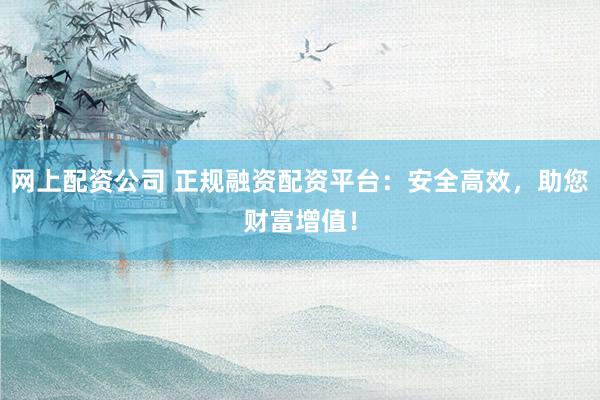 网上配资公司 正规融资配资平台：安全高效，助您财富增值！