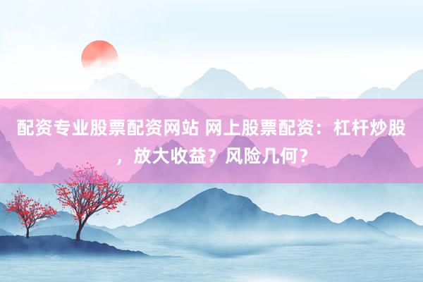 配资专业股票配资网站 网上股票配资：杠杆炒股，放大收益？风险几何？