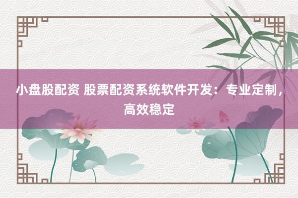 小盘股配资 股票配资系统软件开发：专业定制，高效稳定