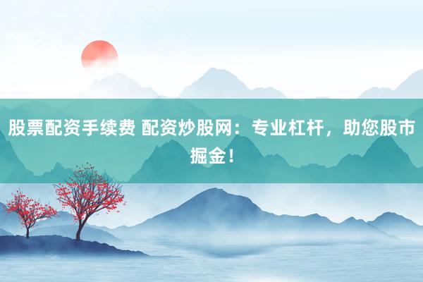 股票配资手续费 配资炒股网：专业杠杆，助您股市掘金！