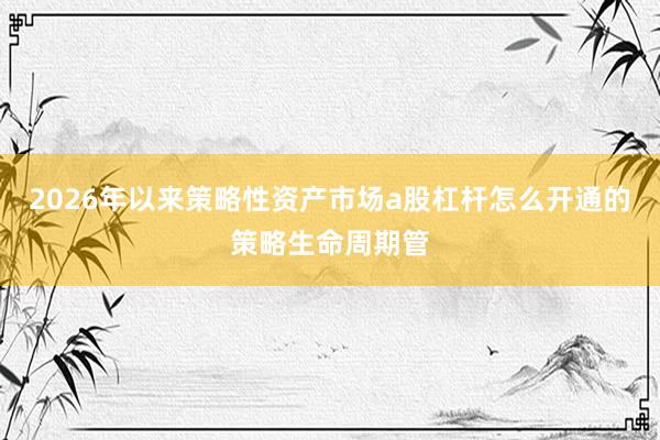 2026年以来策略性资产市场a股杠杆怎么开通的策略生命周期管