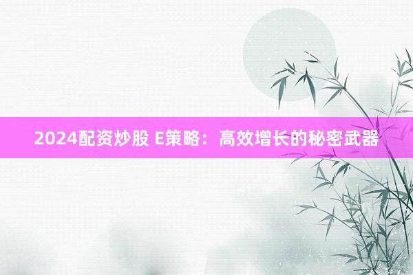2024配资炒股 E策略：高效增长的秘密武器