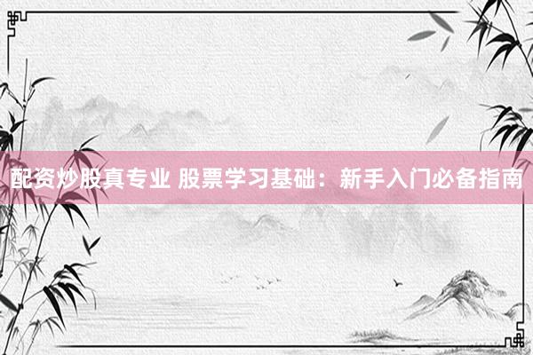 配资炒股真专业 股票学习基础：新手入门必备指南