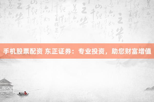 手机股票配资 东正证券：专业投资，助您财富增值